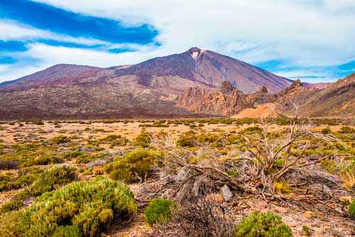 The pumice stone as a witness of living nature of Teide