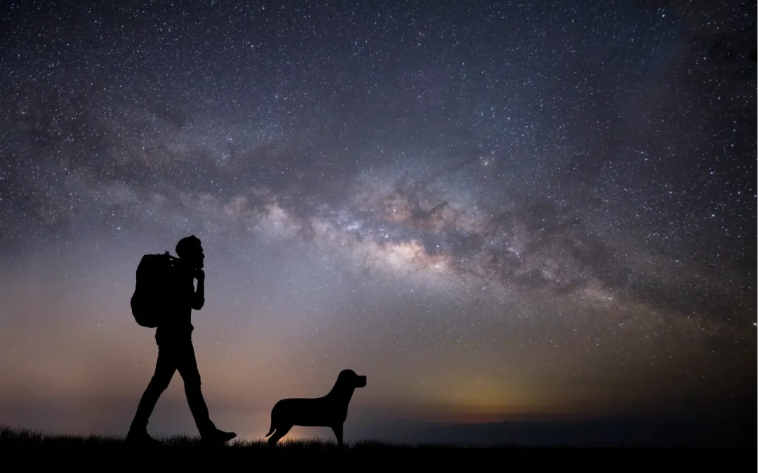 Naviguer dans le Ciel Nocturne : Constellations Visibles depuis Ténérife